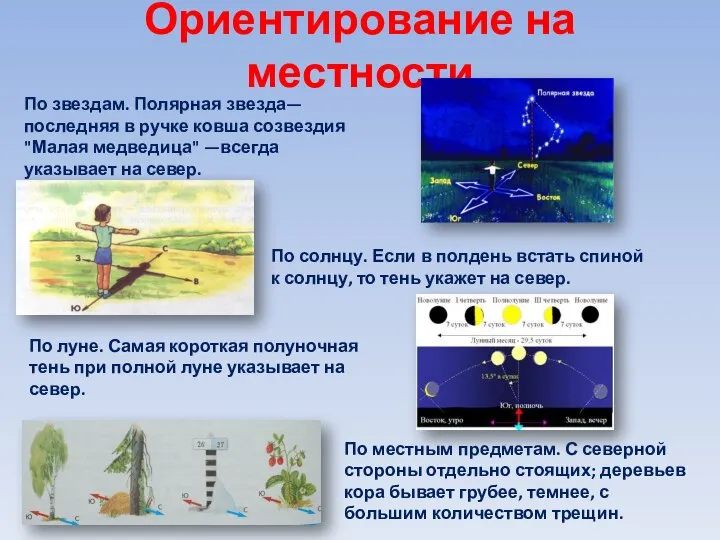 Ориентирование на местности По звездам. Полярная звезда—последняя в ручке ковша созвездия