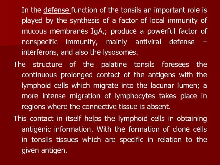 In the defense function of the tonsils an important role is