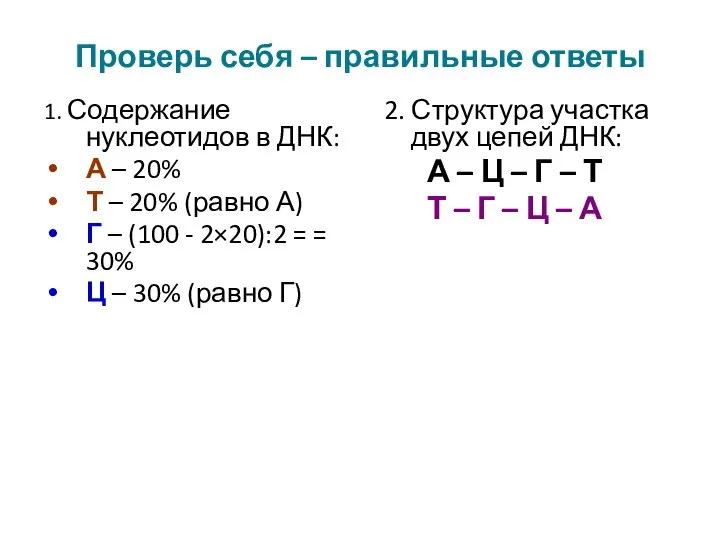 Проверь себя – правильные ответы 1. Содержание нуклеотидов в ДНК: А