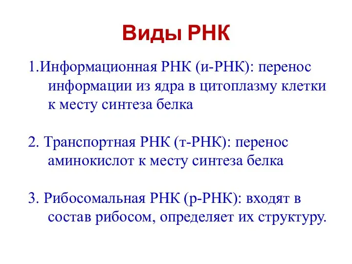 Виды РНК 1.Информационная РНК (и-РНК): перенос информации из ядра в цитоплазму