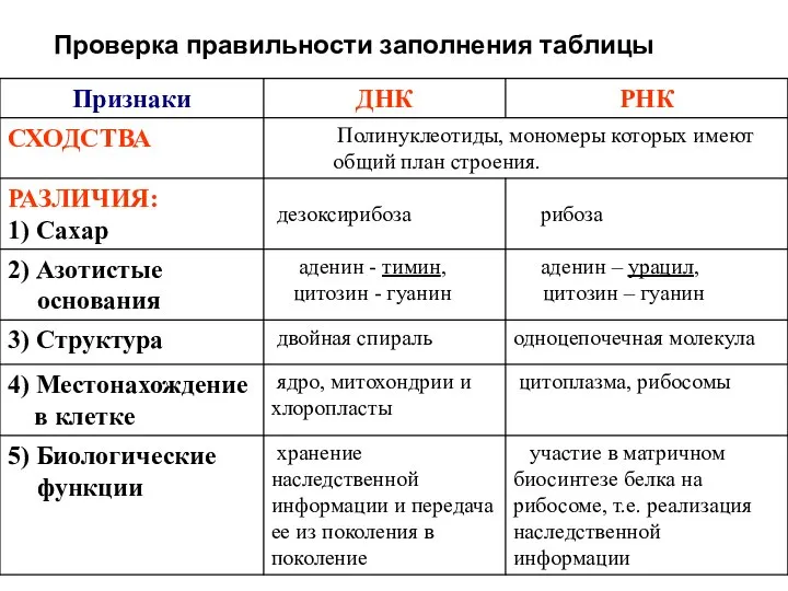 Проверка правильности заполнения таблицы