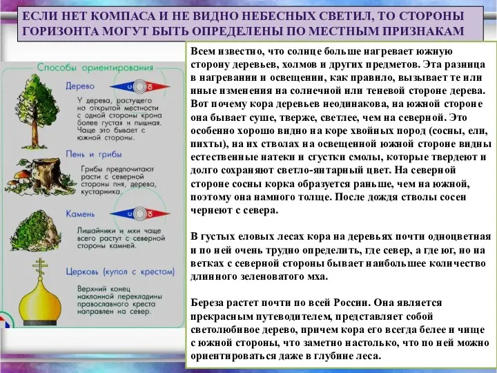 ЕСЛИ НЕТ КОМПАСА И НЕ ВИДНО НЕБЕСНЫХ СВЕТИЛ, ТО СТОРОНЫ ГОРИЗОНТА