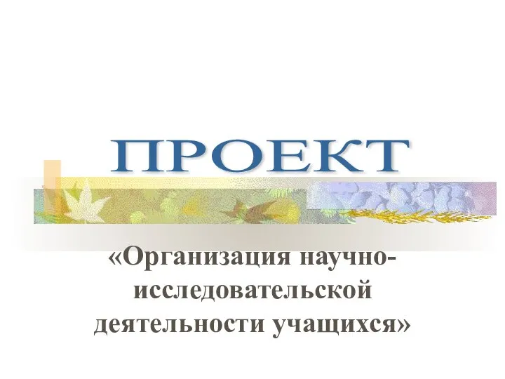 «Организация научно-исследовательской деятельности учащихся» ПРОЕКТ