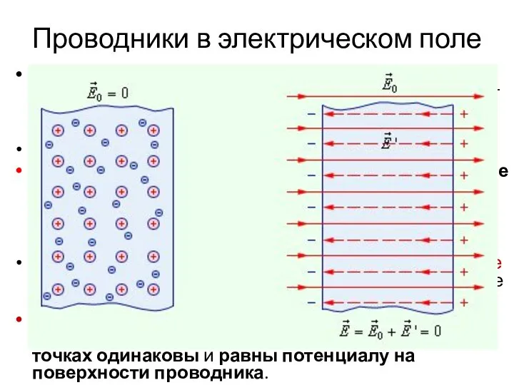 Проводники в электрическом поле Основная особенность проводников – наличие свободных зарядов