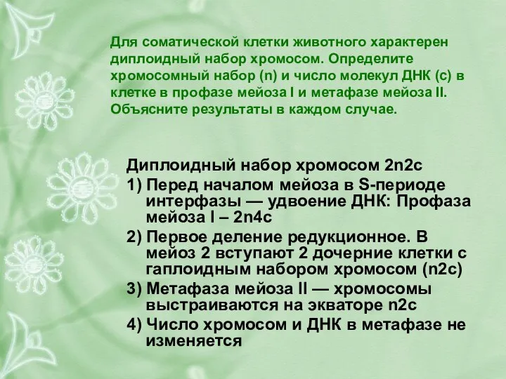 Для соматической клетки животного характерен диплоидный набор хромосом. Определите хромосомный набор