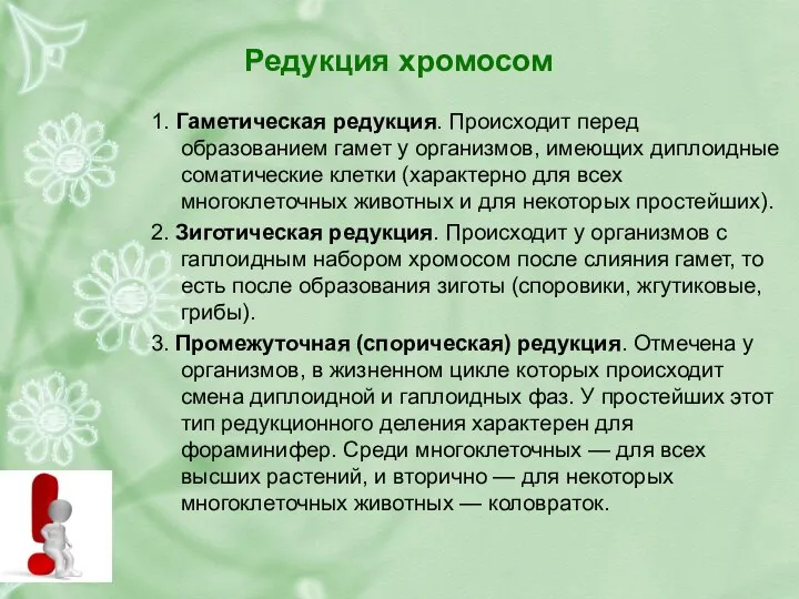 Редукция хромосом 1. Гаметическая редукция. Происходит перед образованием гамет у организмов,