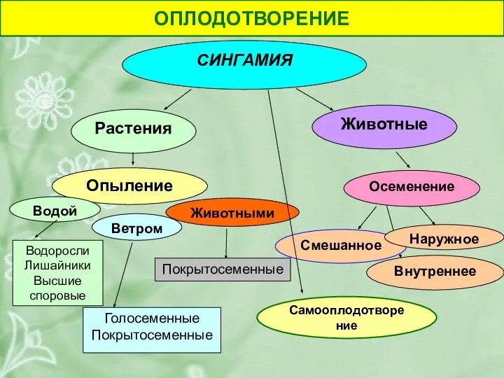 Опыление Осеменение СИНГАМИЯ Растения Животные Водой Ветром Животными Смешанное Наружное Водоросли