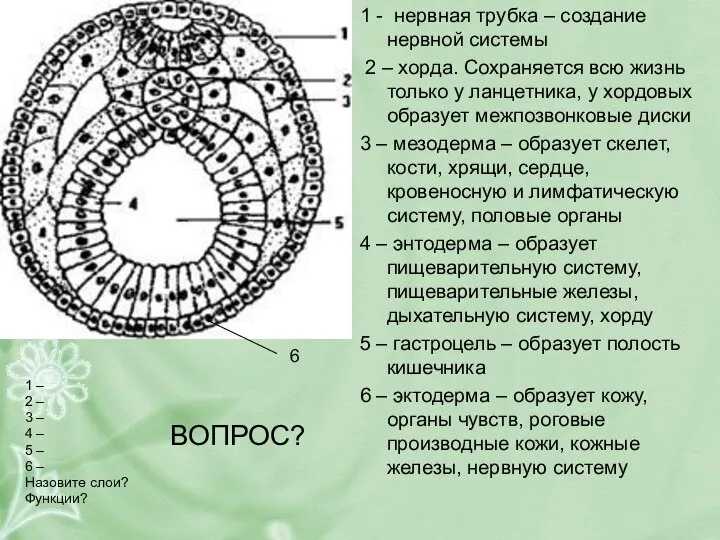 ВОПРОС? 1 – 2 – 3 – 4 – 5 –