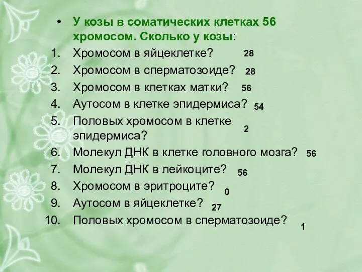 У козы в соматических клетках 56 хромосом. Сколько у козы: Хромосом