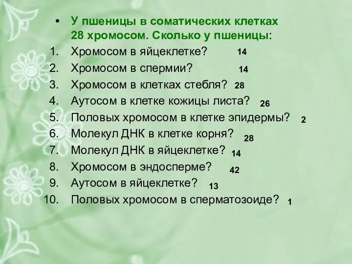 У пшеницы в соматических клетках 28 хромосом. Сколько у пшеницы: Хромосом