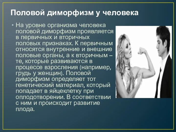 Половой диморфизм у человека На уровне организма человека половой диморфизм проявляется