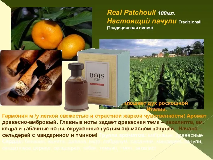 Real Patchouli 100мл. Настоящий пачули Tradizionali (Традиционная линия) Воплощает дух роскошной