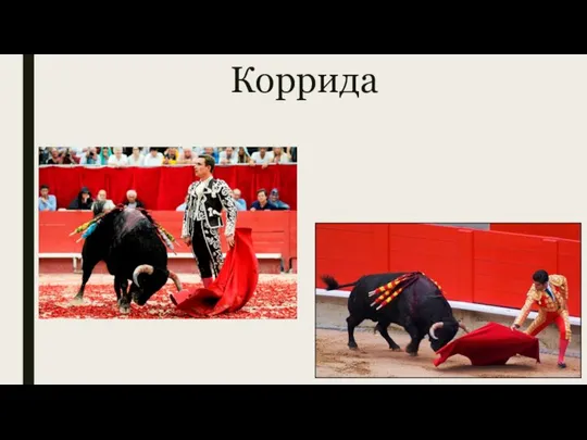 Коррида