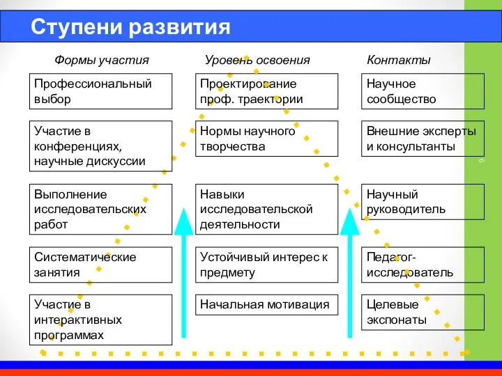 Систематические занятия Проектирование проф. траектории Участие в конференциях, научные дискуссии Выполнение