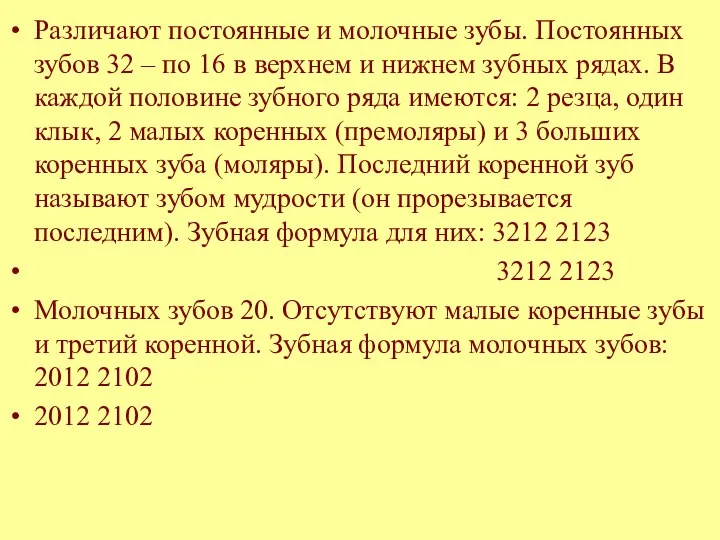 Различают постоянные и молочные зубы. Постоянных зубов 32 – по 16