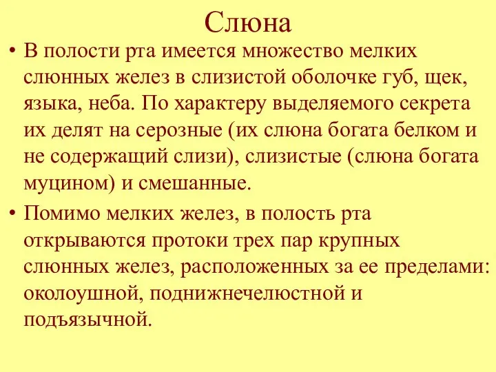 Слюна В полости рта имеется множество мелких слюнных желез в слизистой