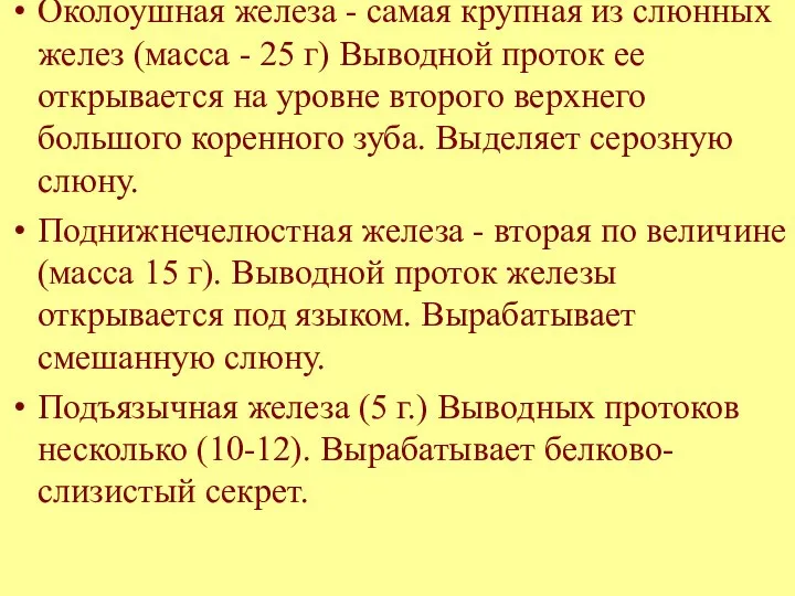 Околоушная железа - самая крупная из слюнных желез (масса - 25