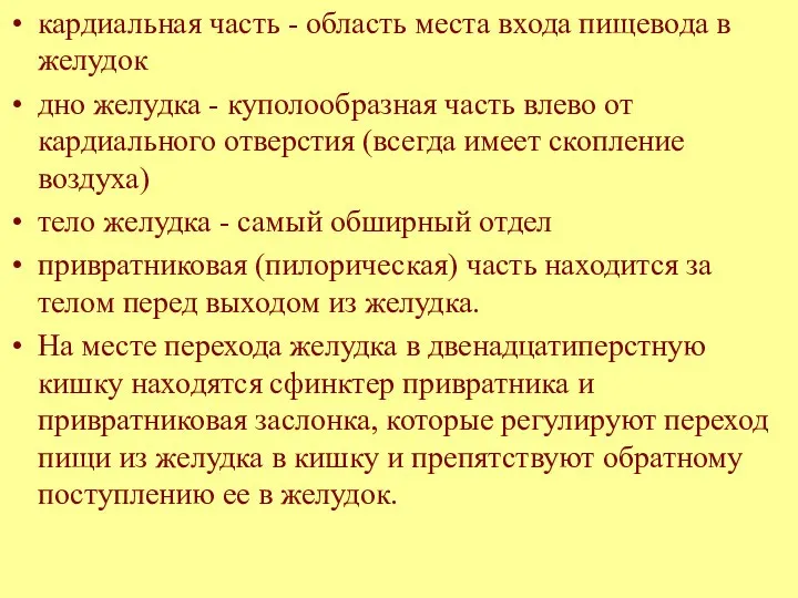 кардиальная часть - область места входа пищевода в желудок дно желудка