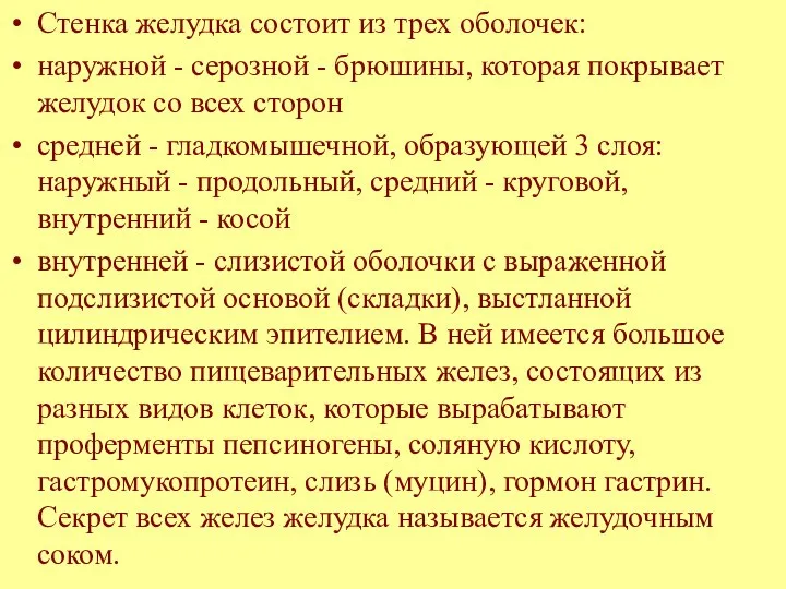 Стенка желудка состоит из трех оболочек: наружной - серозной - брюшины,