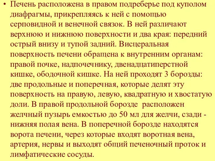 Печень расположена в правом подреберье под куполом диафрагмы, прикрепляясь к ней