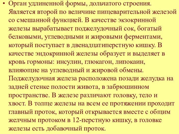 Орган удлиненной формы, дольчатого строения. Является второй по величине пищеварительной железой