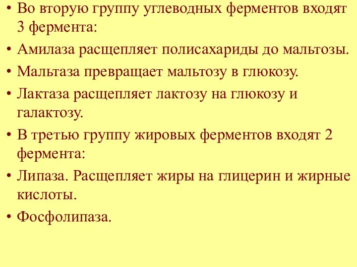 Во вторую группу углеводных ферментов входят 3 фермента: Амилаза расщепляет полисахариды