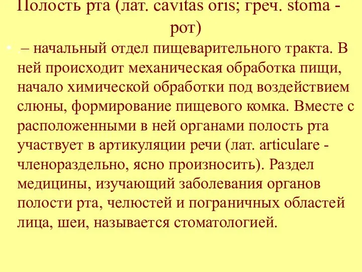 Полость рта (лат. cavitas oris; греч. stoma - рот) .– начальный