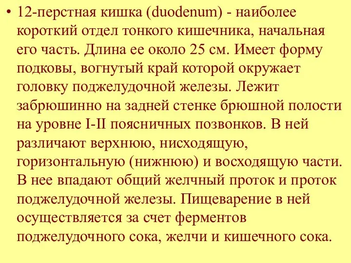 12-перстная кишка (duodenum) - наиболее короткий отдел тонкого кишечника, начальная его