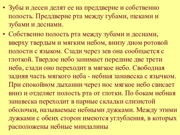 Зубы и десен делят ее на преддверие и собственно полость. Преддверие