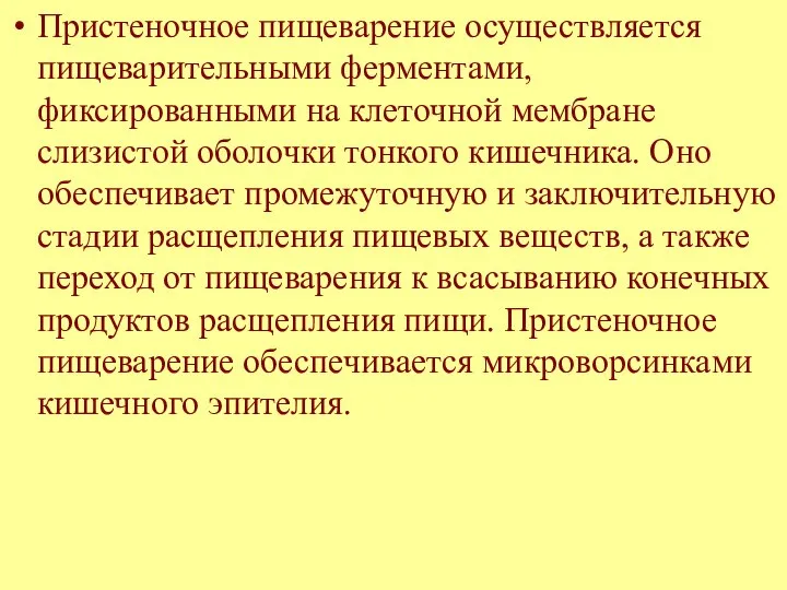 Пристеночное пищеварение осуществляется пищеварительными ферментами, фиксированными на клеточной мембране слизистой оболочки