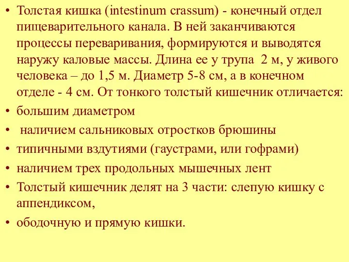 Толстая кишка (intestinum crassum) - конечный отдел пищеварительного канала. В ней