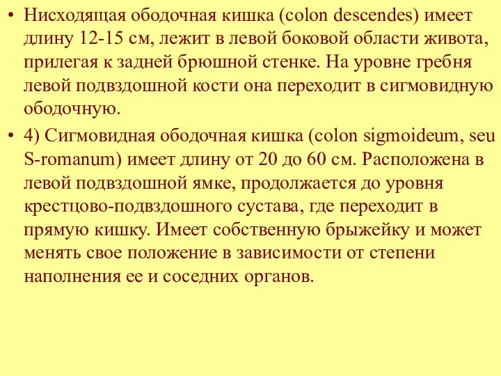 Нисходящая ободочная кишка (colon descendes) имеет длину 12-15 см, лежит в