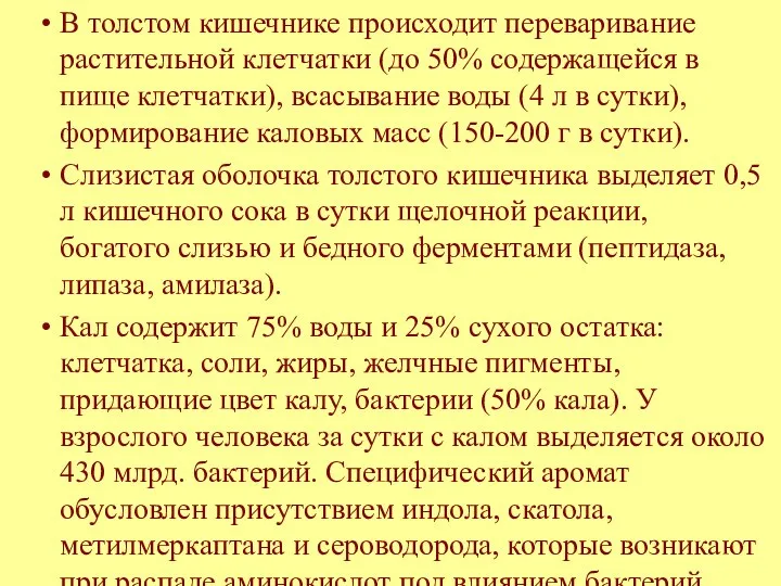 В толстом кишечнике происходит переваривание растительной клетчатки (до 50% содержащейся в