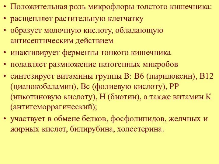 Положительная роль микрофлоры толстого кишечника: расщепляет растительную клетчатку образует молочную кислоту,