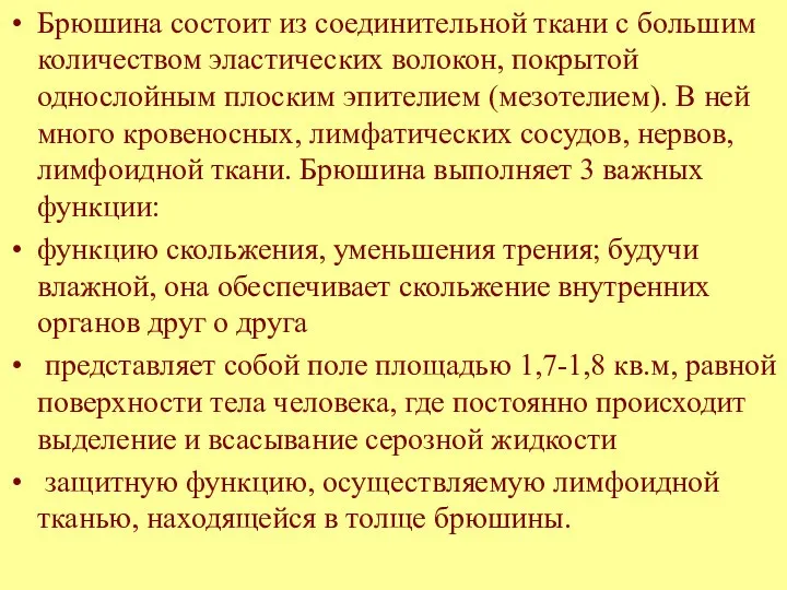 Брюшина состоит из соединительной ткани с большим количеством эластических волокон, покрытой