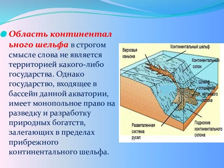 Область континентального шельфа в строгом смысле слова не является территорией какого-либо