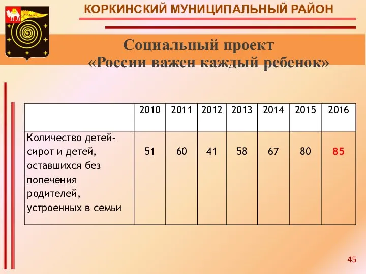 КОРКИНСКИЙ МУНИЦИПАЛЬНЫЙ РАЙОН Социальный проект «России важен каждый ребенок» 45