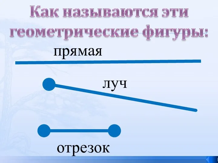 прямая луч отрезок