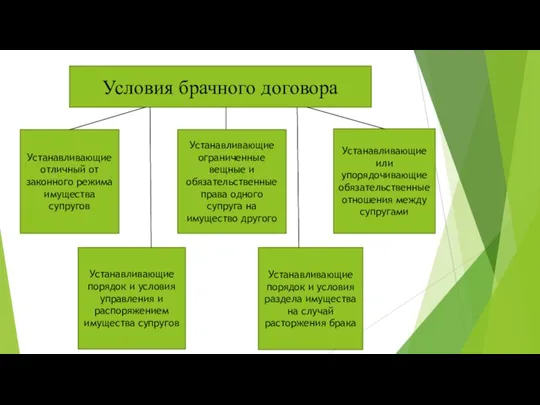 Условия брачного договора Устанавливающие отличный от законного режима имущества супругов Устанавливающие