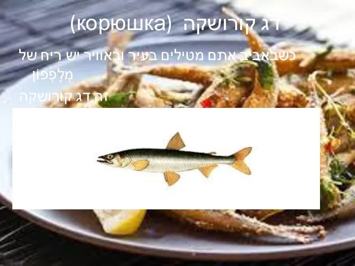 (корюшка) דג קורושקה כשבאביב אתם מטילים בעיר ובאוויר יש רֵיח של מְלָפְפוֹן זה דג קורושקה