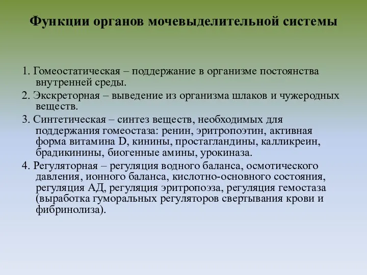 Функции органов мочевыделительной системы 1. Гомеостатическая – поддержание в организме постоянства