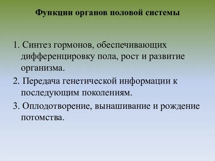 Функции органов половой системы 1. Синтез гормонов, обеспечивающих дифференцировку пола, рост