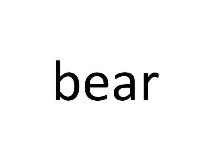 bear