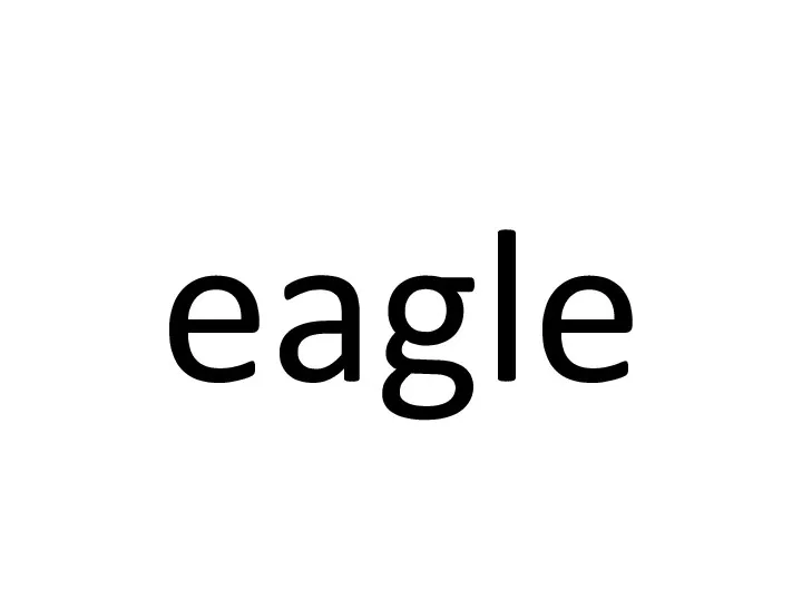 eagle