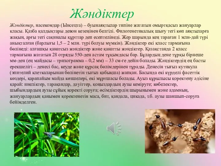 Жәндіктер Жәндіктер, насекомдар (Ынсецта) – буынаяқтылар типіне жататын омыртқасыз жануарлар класы.
