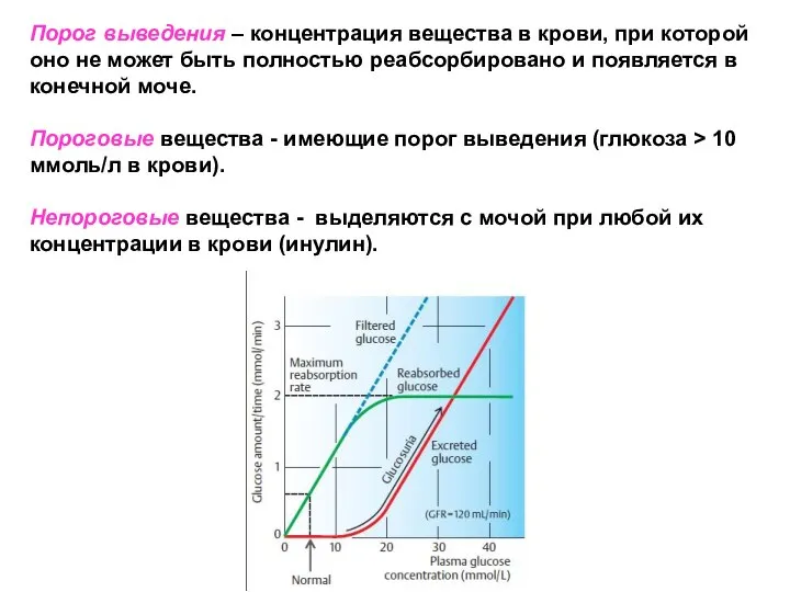 Порог выведения – концентрация вещества в крови, при которой оно не