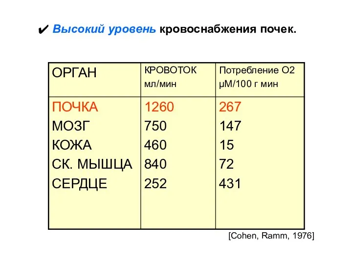 Высокий уровень кровоснабжения почек. [Cohen, Ramm, 1976]