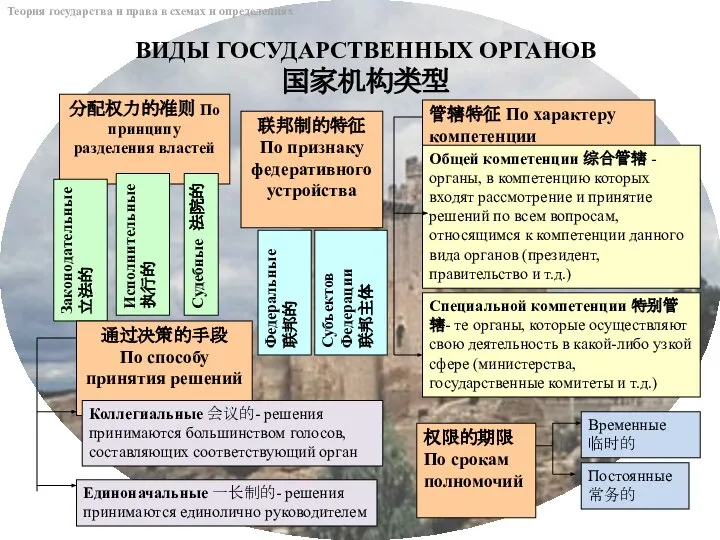 Теория государства и права в схемах и определениях ВИДЫ ГОСУДАРСТВЕННЫХ ОРГАНОВ