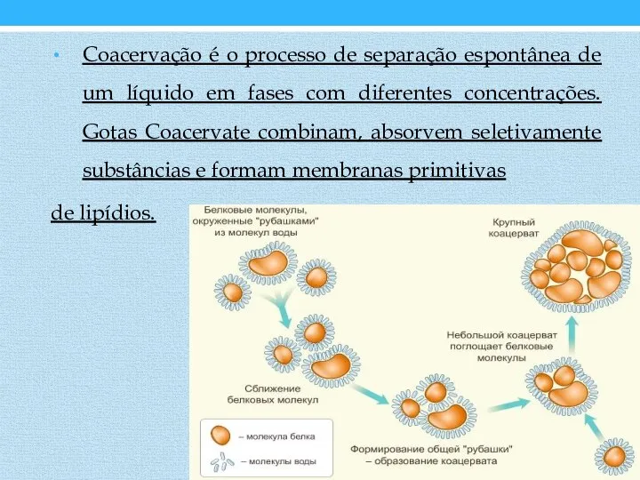 Coacervação é o processo de separação espontânea de um líquido em