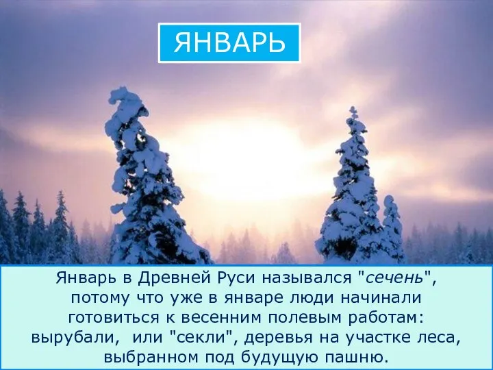 Январь в Древней Руси назывался "сечень", потому что уже в январе